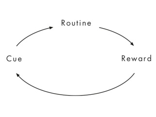 cue-routine-reward-habit